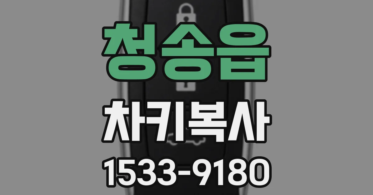 청송읍 차키복사