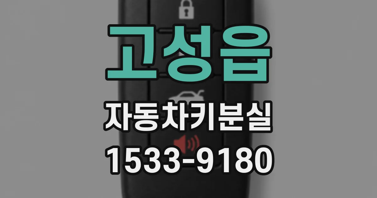 고성읍 자동차키분실