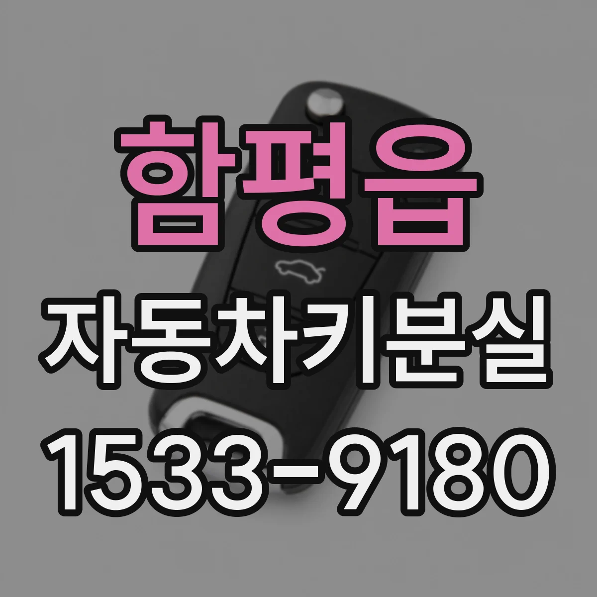함평읍 자동차키분실