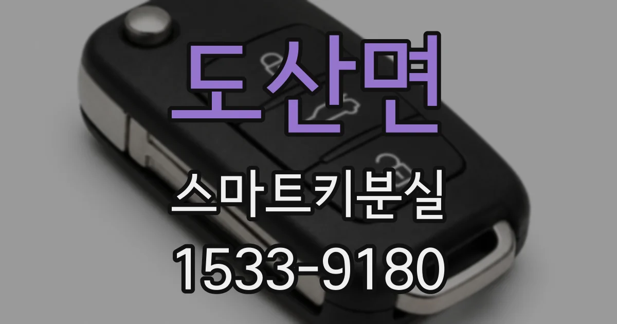 도산면 스마트키분실