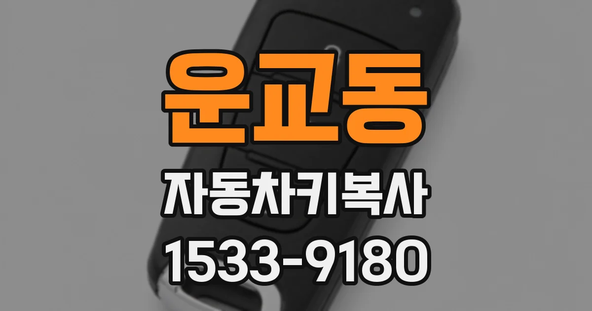 운교동 자동차키복사