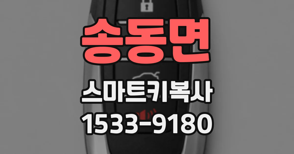 송동면 스마트키복사