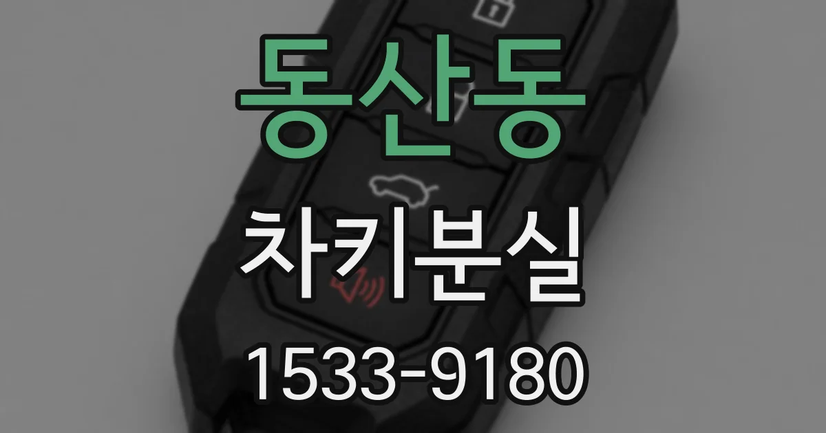 동산동 차키분실