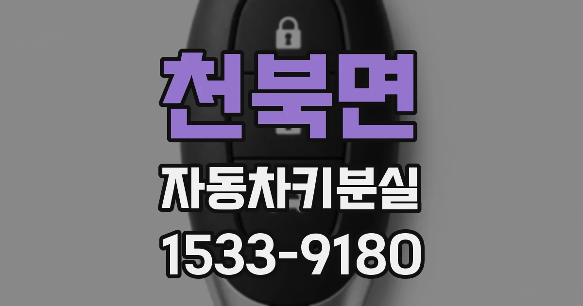 천북면 자동차키분실