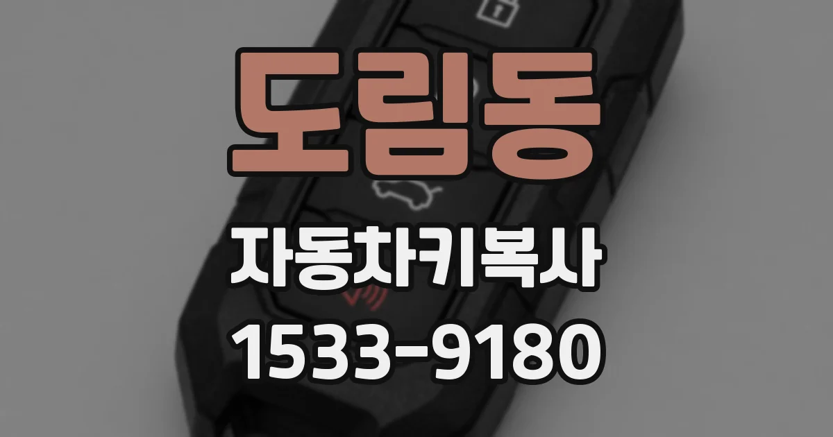 도림동 자동차키복사