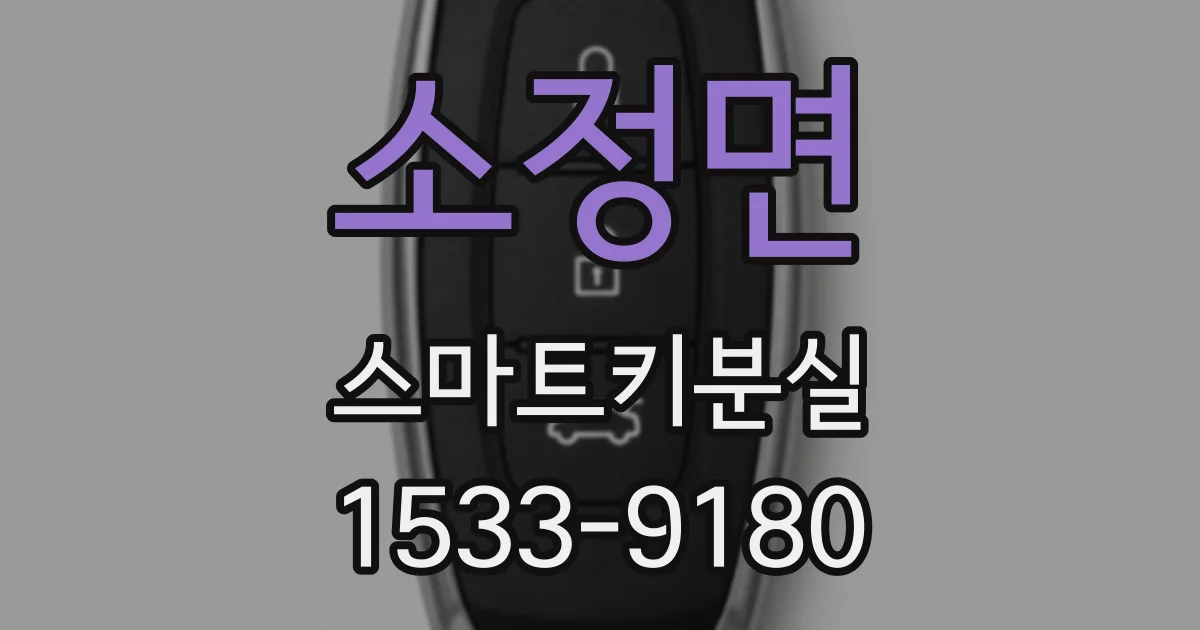 소정면 스마트키분실