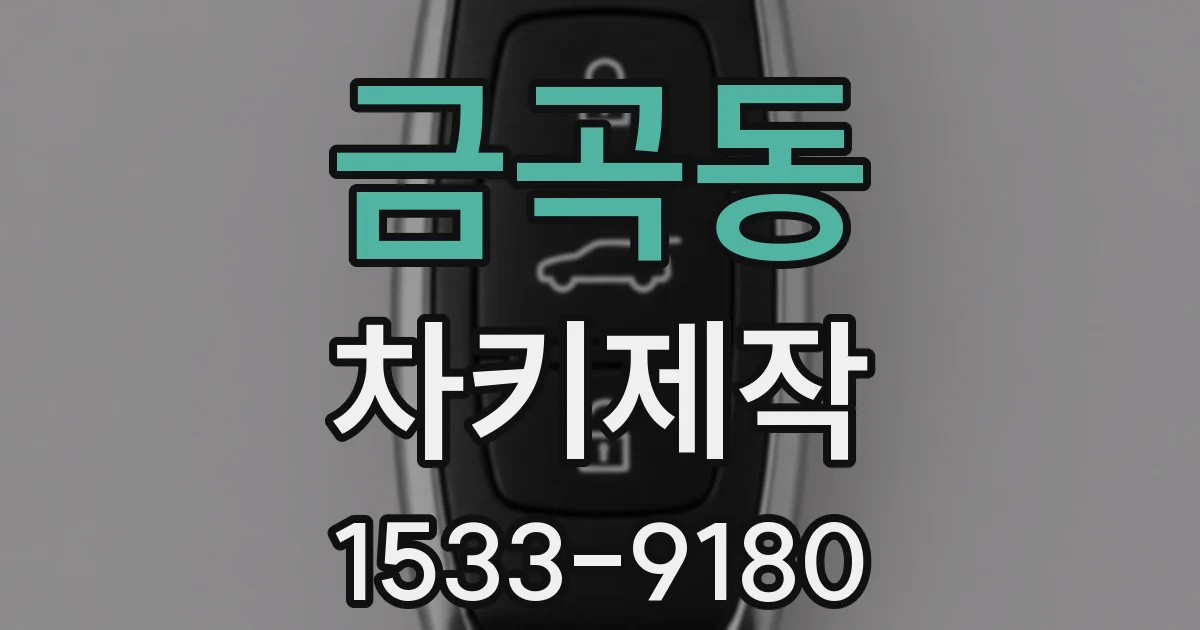 금곡동 차키제작