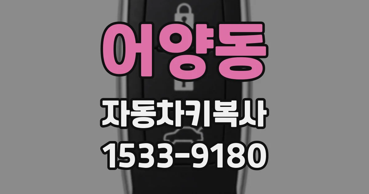 어양동 자동차키복사