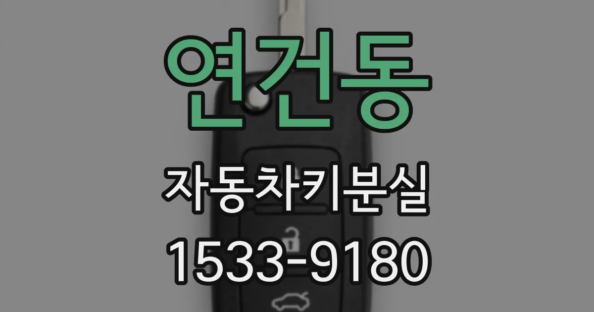 연건동 자동차키분실