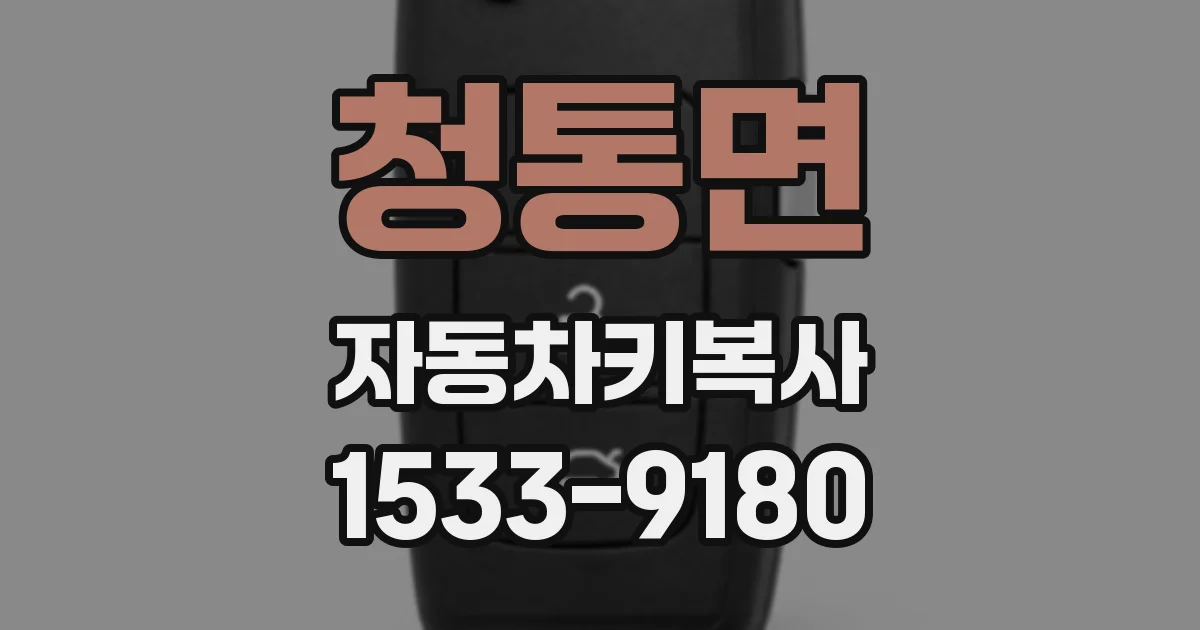 청통면 자동차키복사