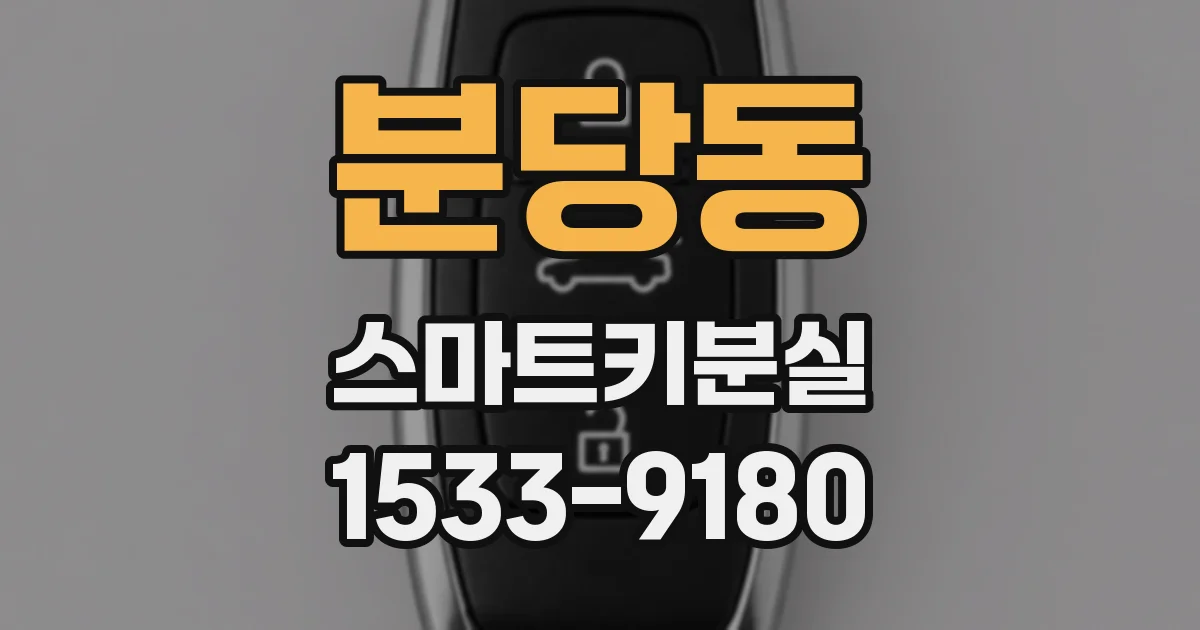 분당동 스마트키분실