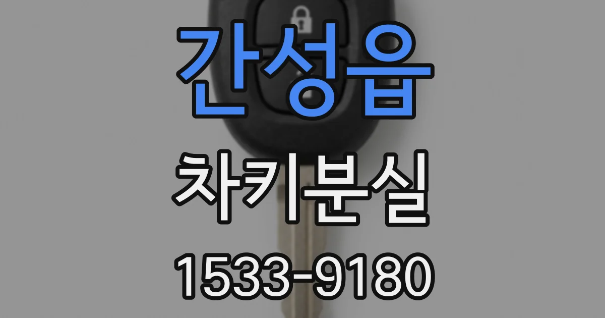 간성읍 차키분실