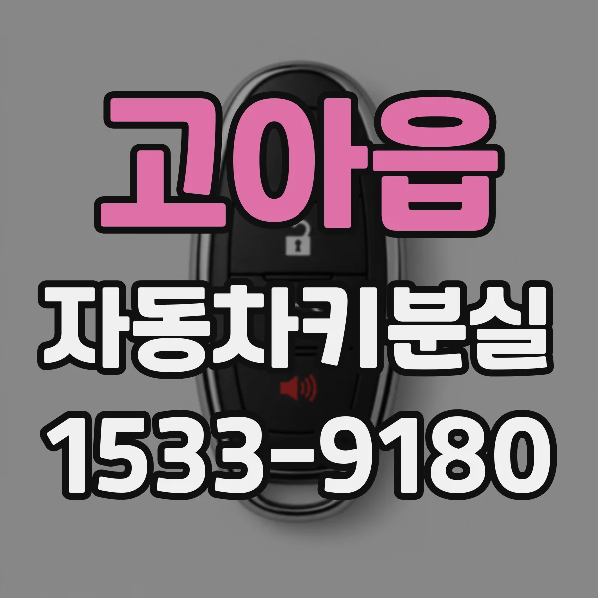 고아읍 자동차키분실