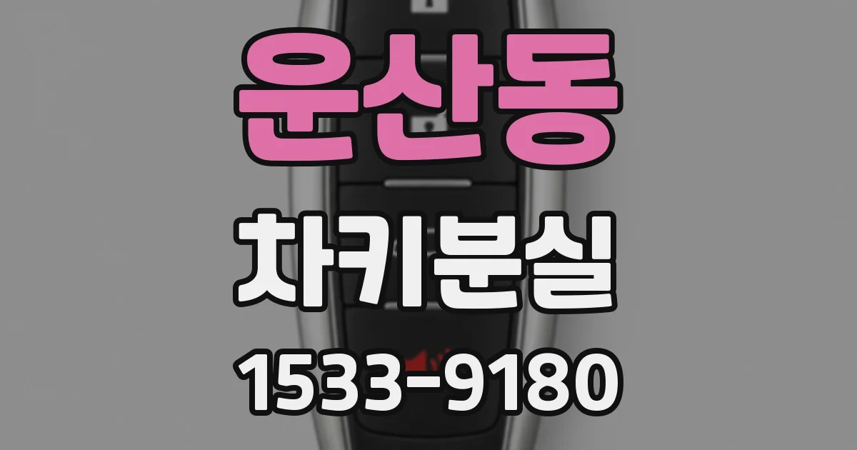 운산동 차키분실