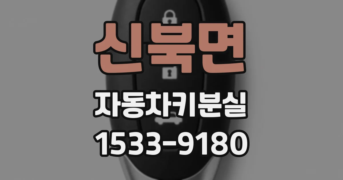 신북면 자동차키분실