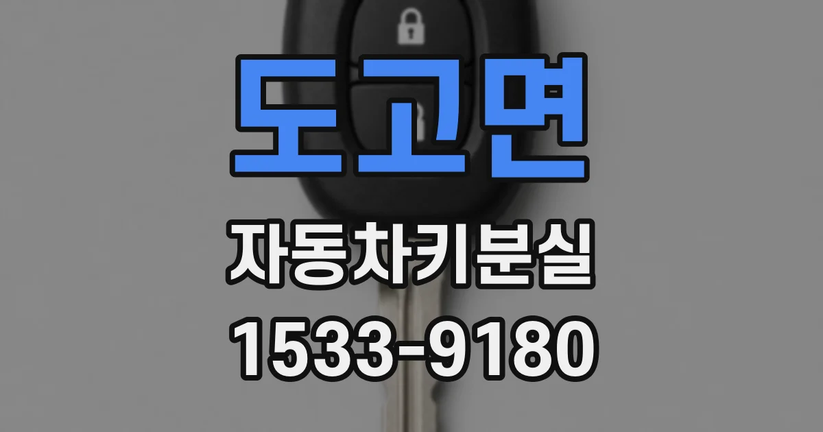 도고면 자동차키분실