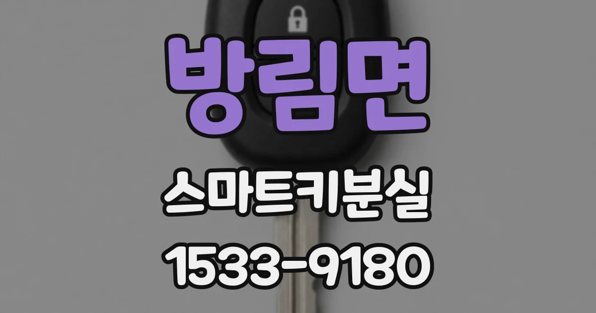 방림면 스마트키분실
