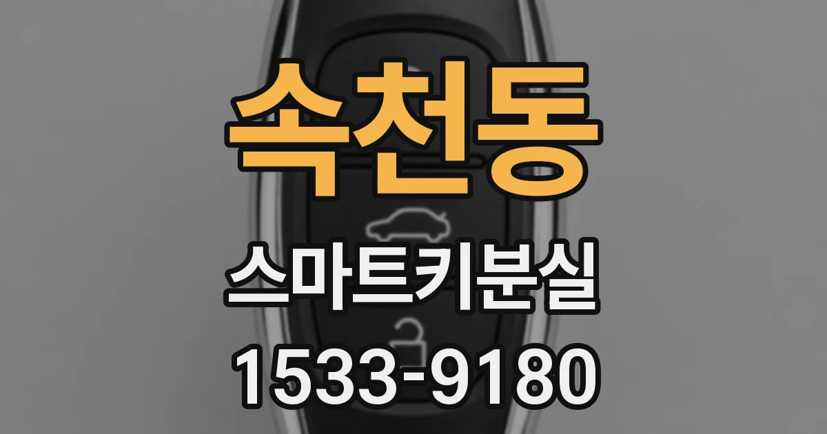 속천동 스마트키분실