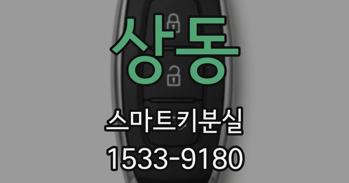 상동 스마트키분실