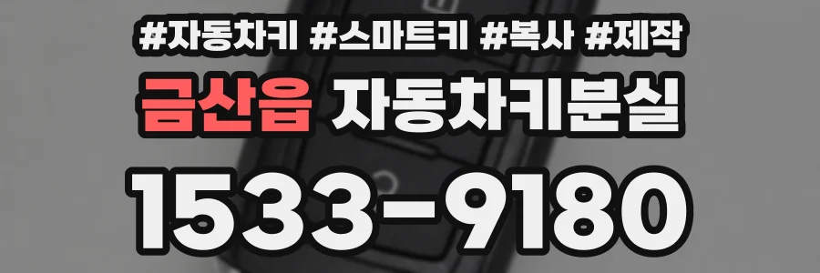 금산읍 자동차키분실