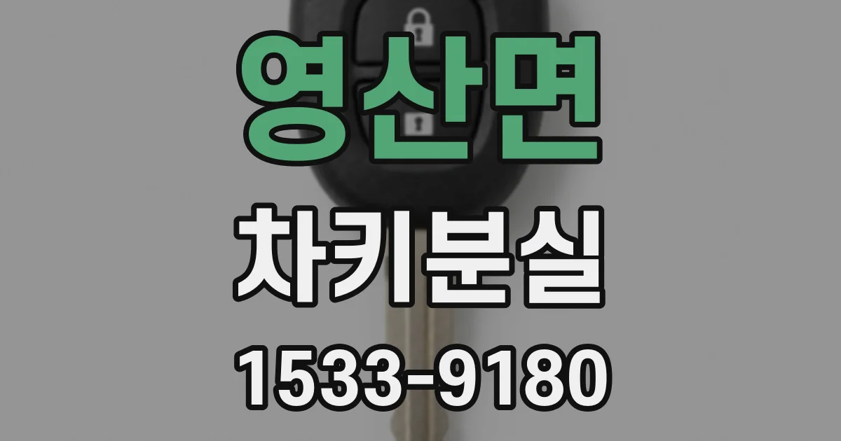영산면 차키분실