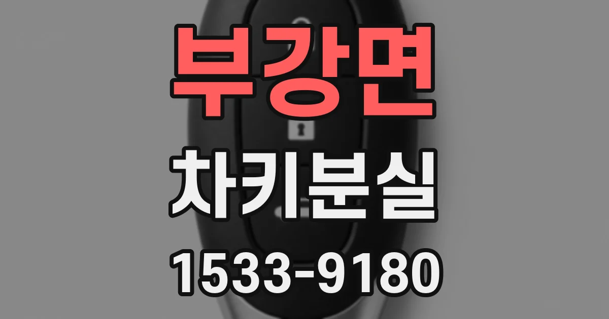 부강면 차키분실