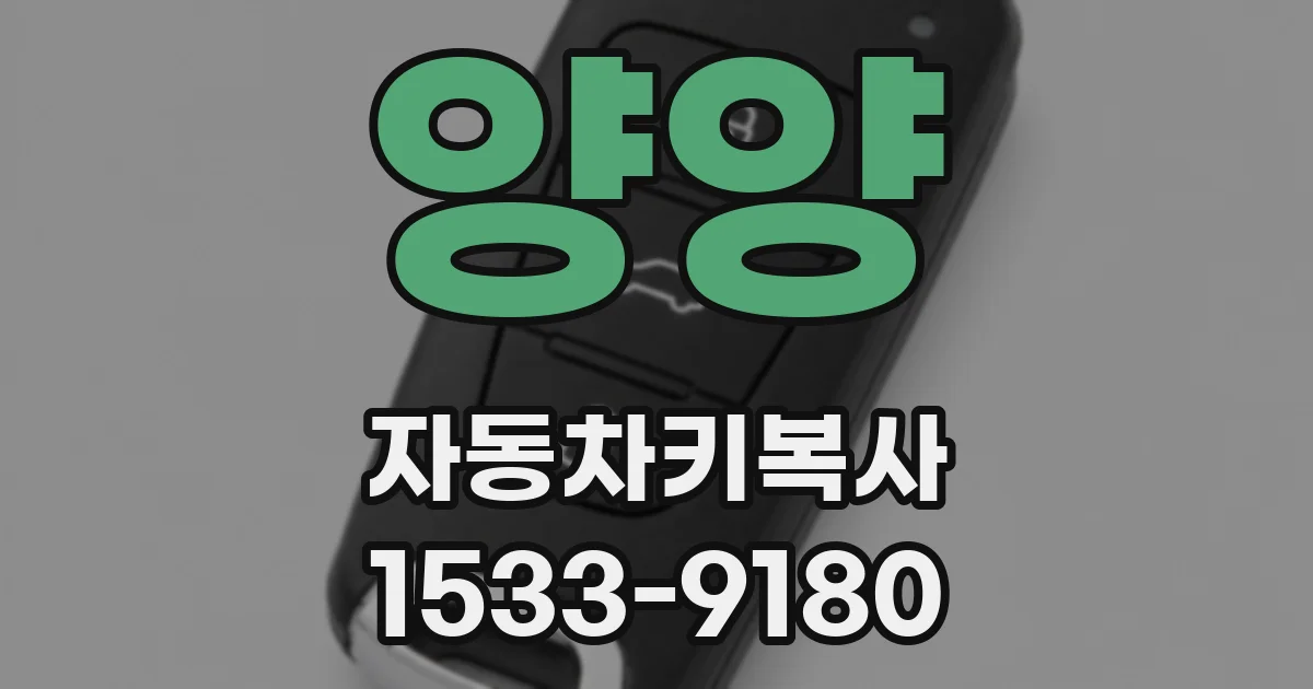 양양 자동차키복사