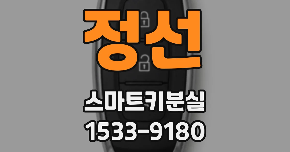 정선 스마트키분실