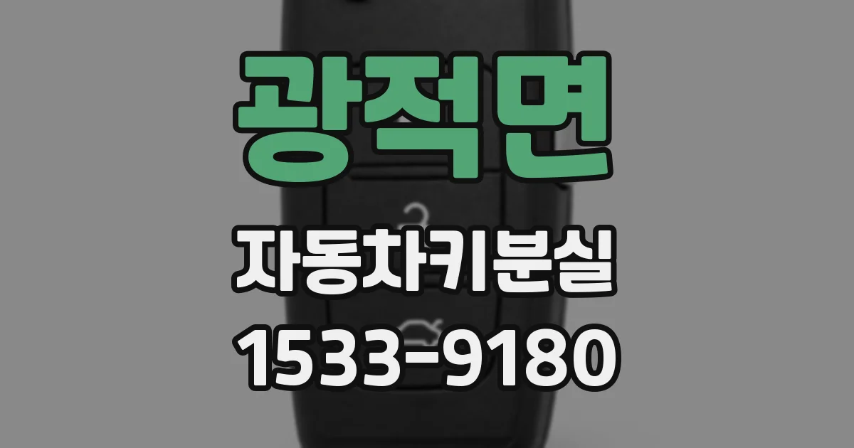 광적면 자동차키분실