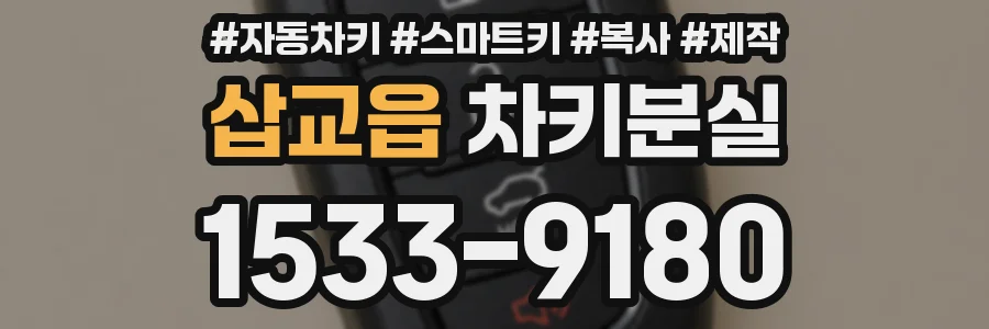 삽교읍 차키분실