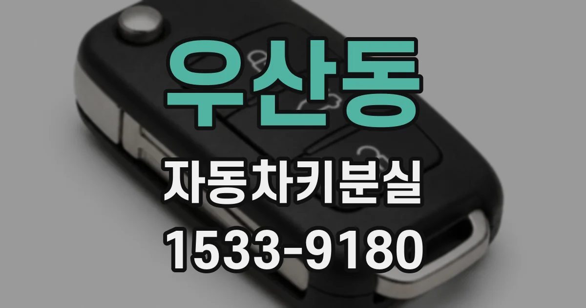 우산동 자동차키분실