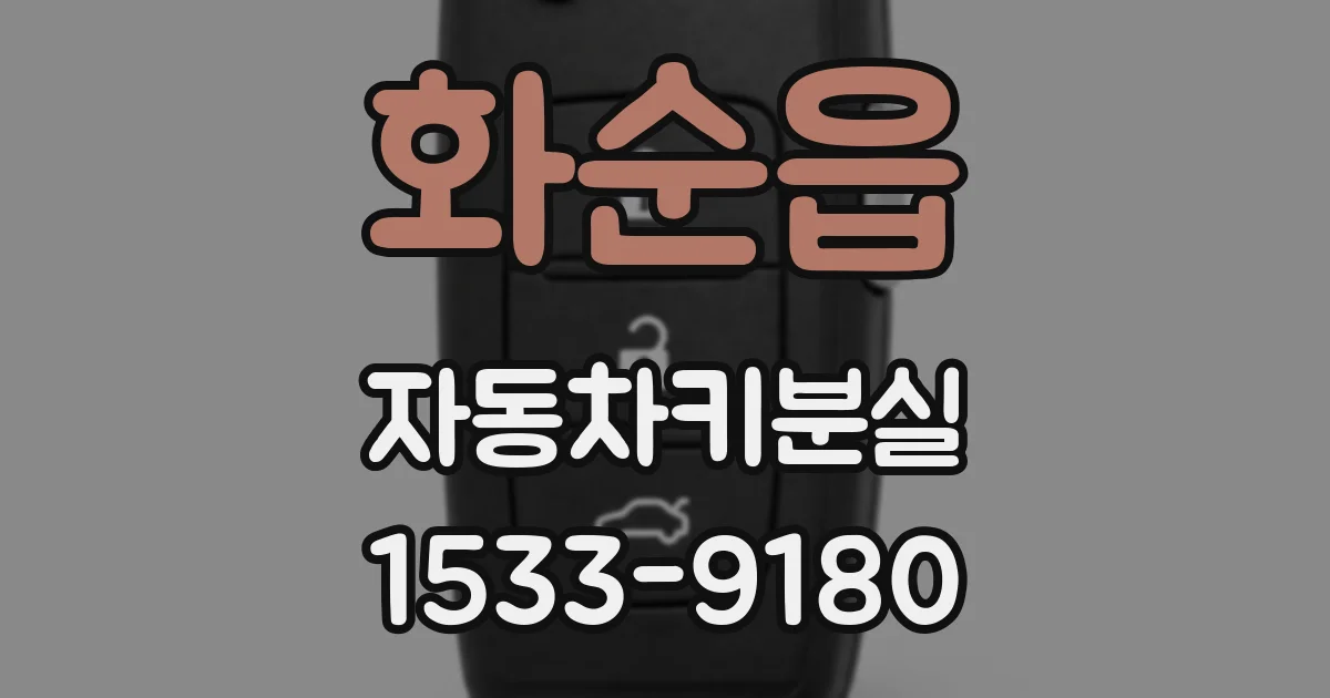 화순읍 자동차키분실