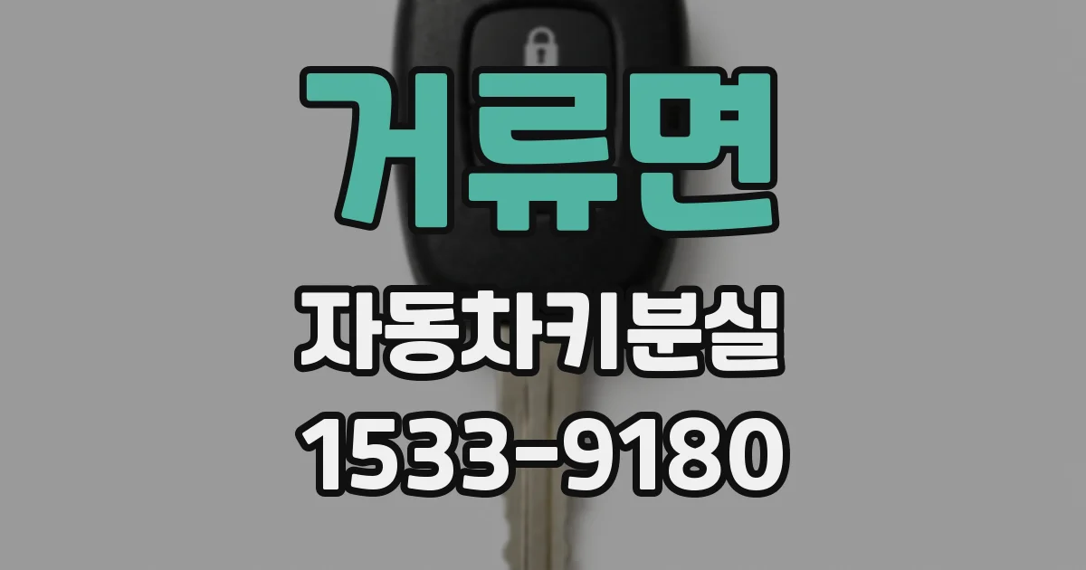 거류면 자동차키분실