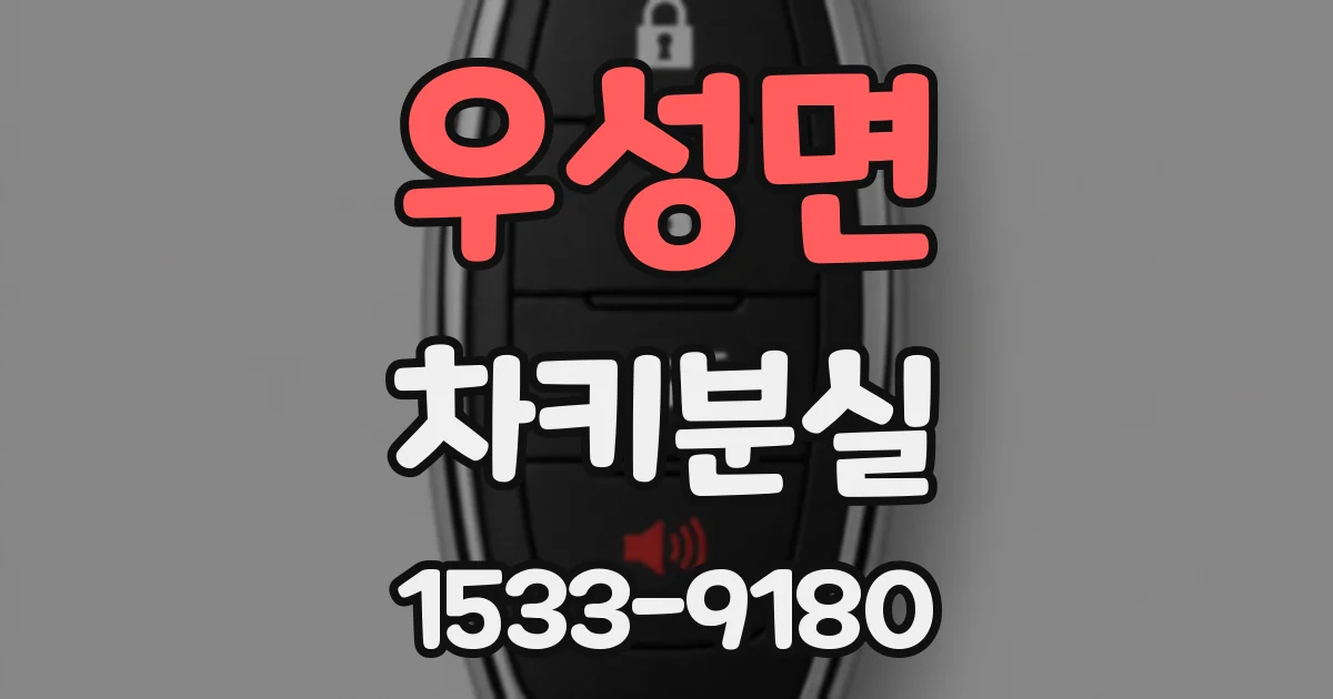 우성면 차키분실