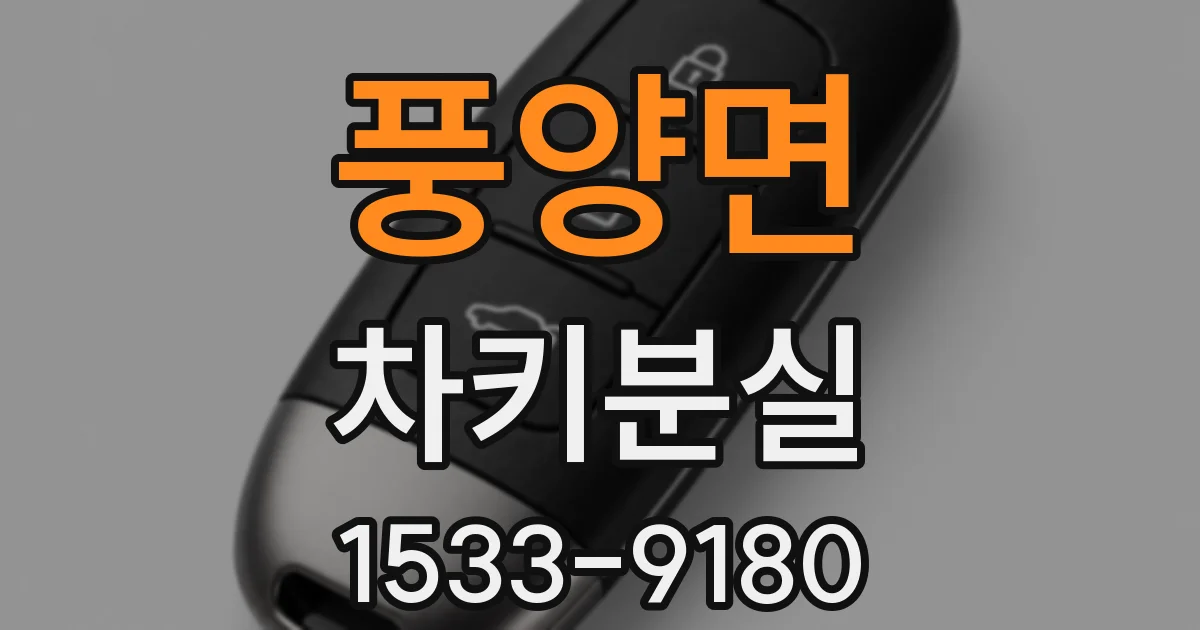 풍양면 차키분실