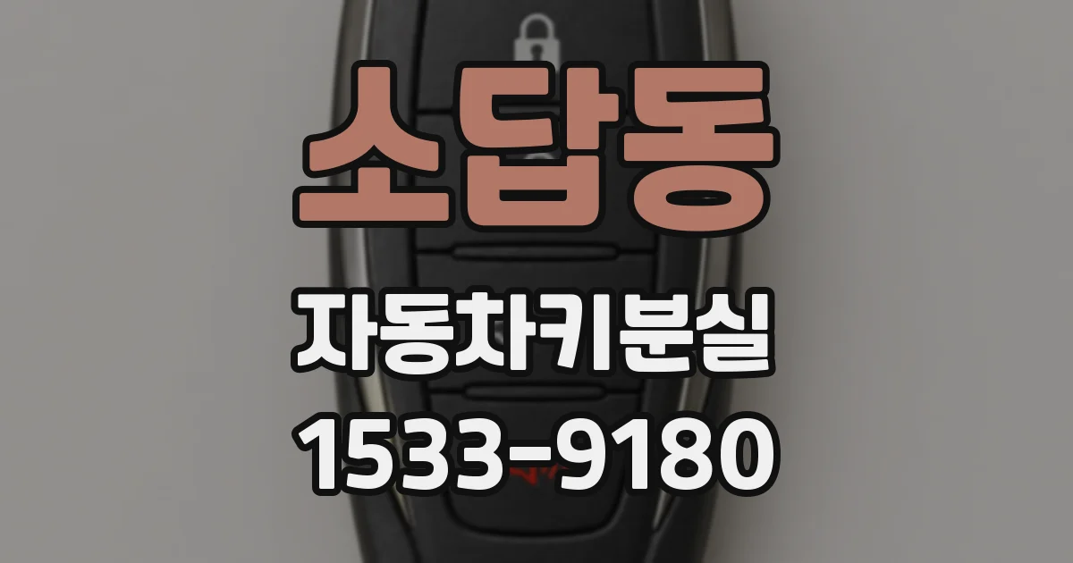 소답동 자동차키분실