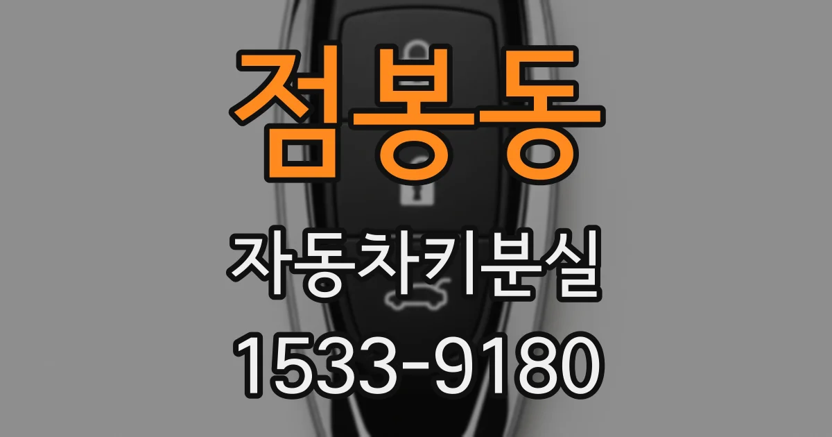 점봉동 자동차키분실