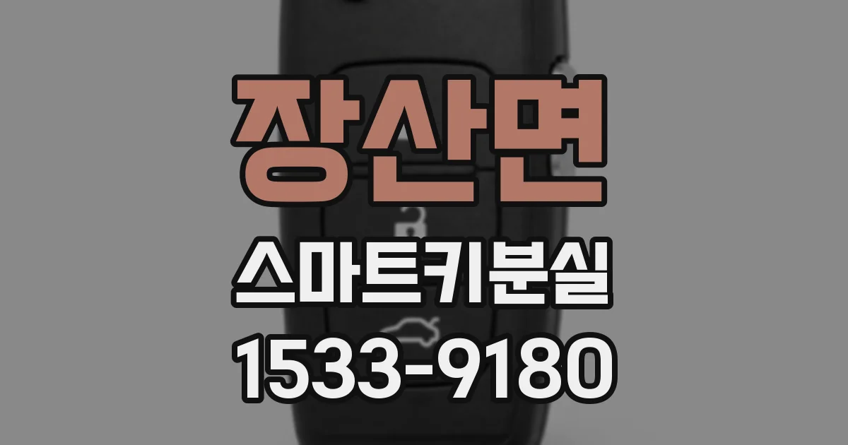 장산면 스마트키분실