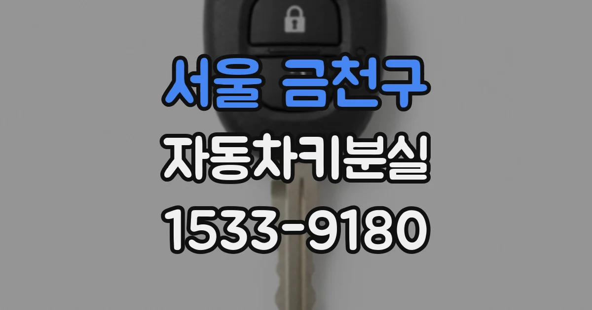 서울 금천구 자동차키분실