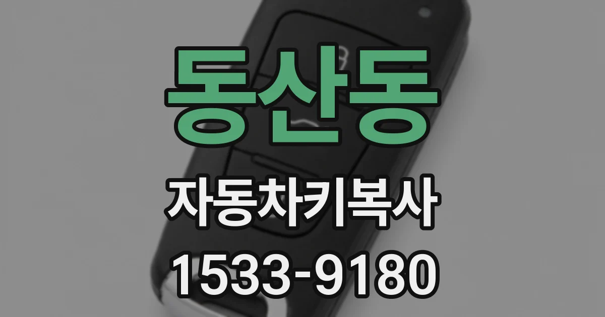 동산동 자동차키복사