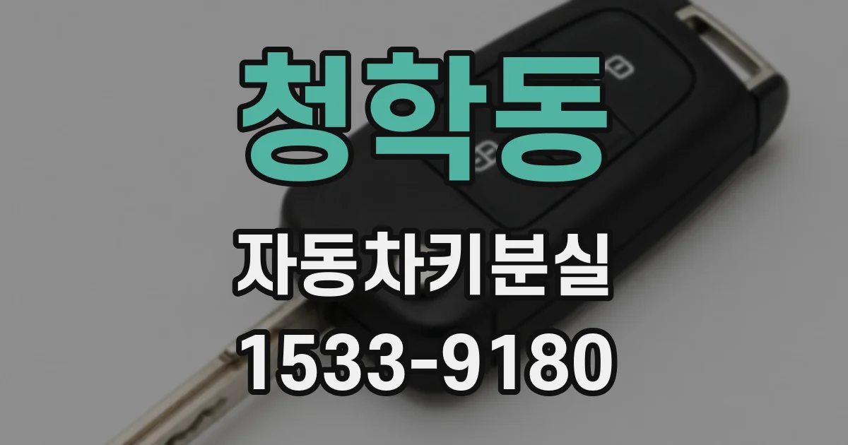 청학동 자동차키분실