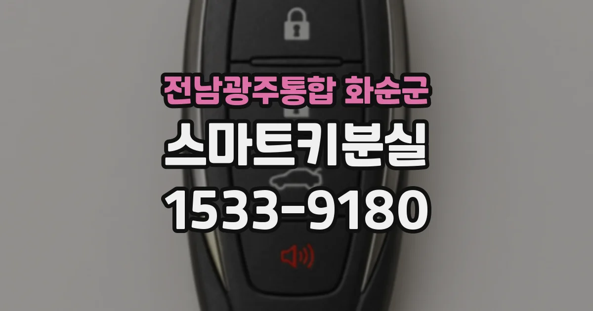 전남광주통합 화순군 스마트키분실