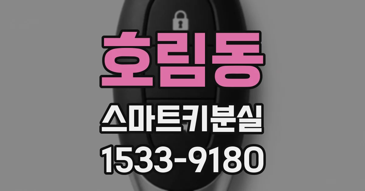 호림동 스마트키분실