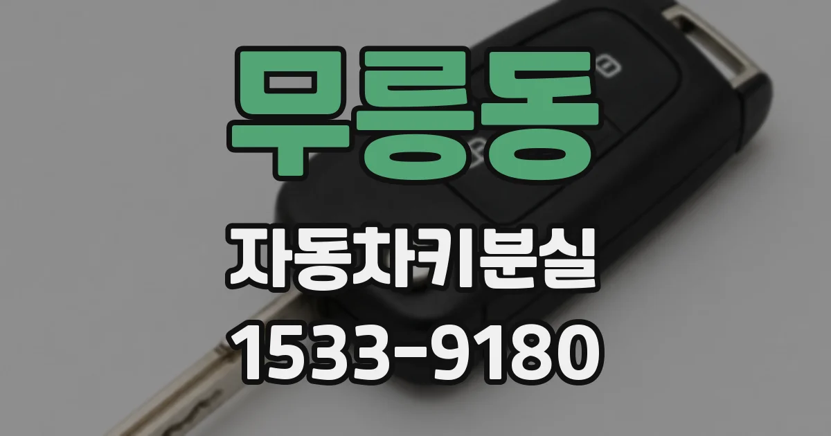 무릉동 자동차키분실
