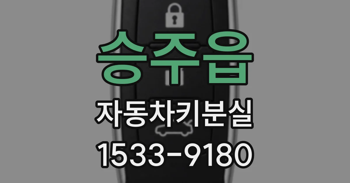 승주읍 자동차키분실