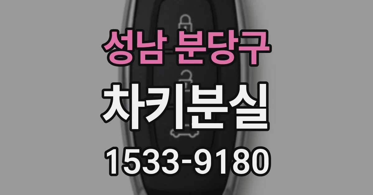 성남 분당구 차키분실
