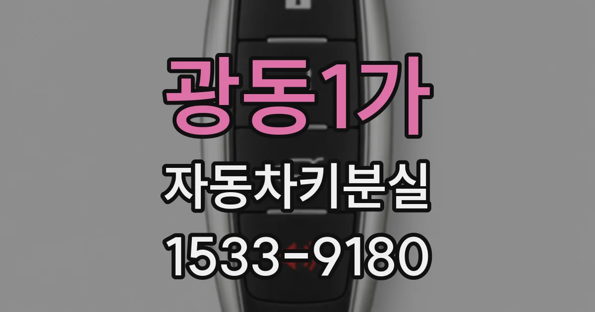 광동1가 자동차키분실
