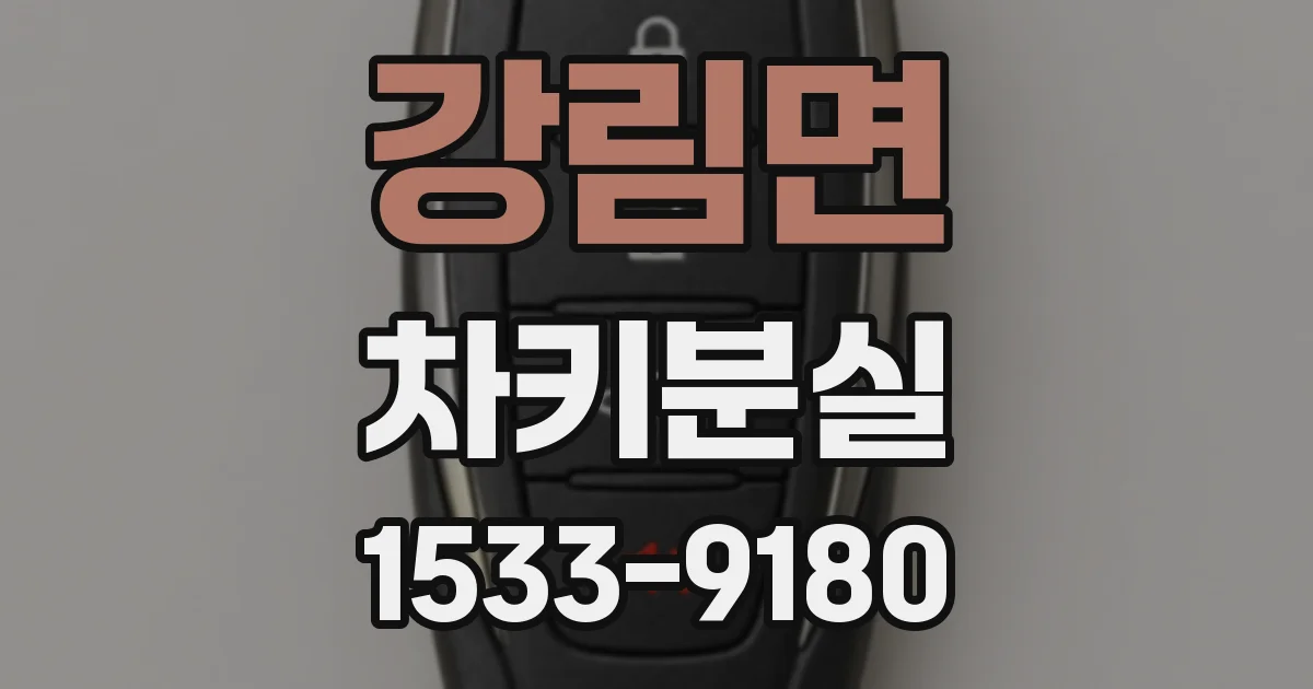 강림면 차키분실