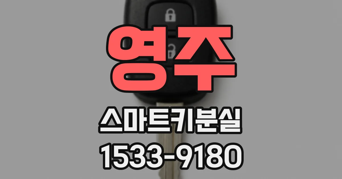 영주 스마트키분실