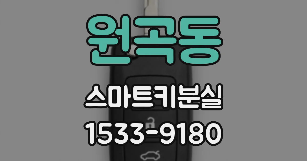 원곡동 스마트키분실